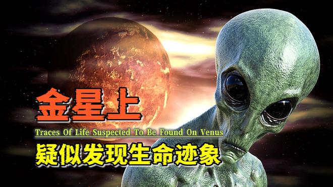 flash量天尺_量天尺_量天尺烂