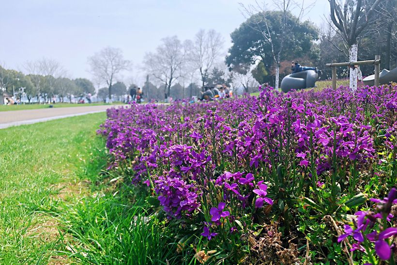 清明节月几号_清明节是几月几号_清明节是哪个月