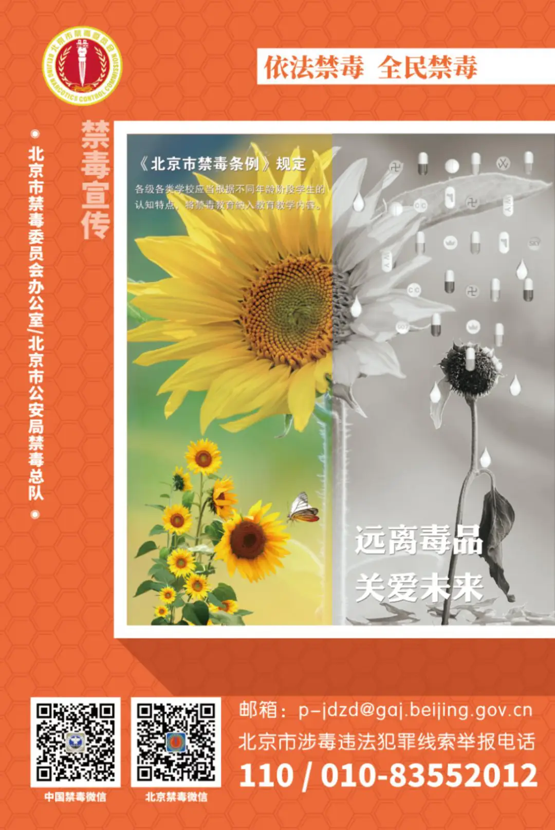 世界禁毒日_禁毒世界读书日美篇_禁毒世界水日宣传