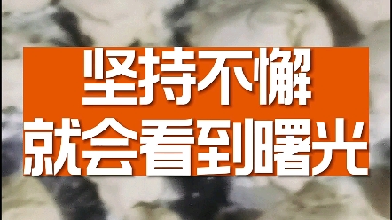 手机游戏像游戏发展国_游戏发展国手机_游戏发展国手游