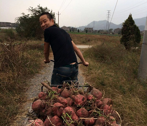 强国软件是什么_强国软件骗局_学**强国软件