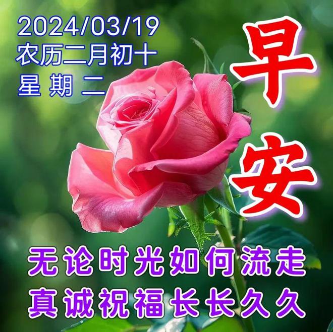 月经周期多少天为正常范围_月经推迟不来什么原因_3月26日