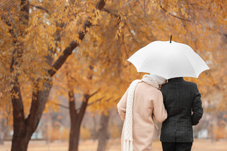 雨伞小游戏_雨伞手机游戏怎么玩_手机雨伞游戏