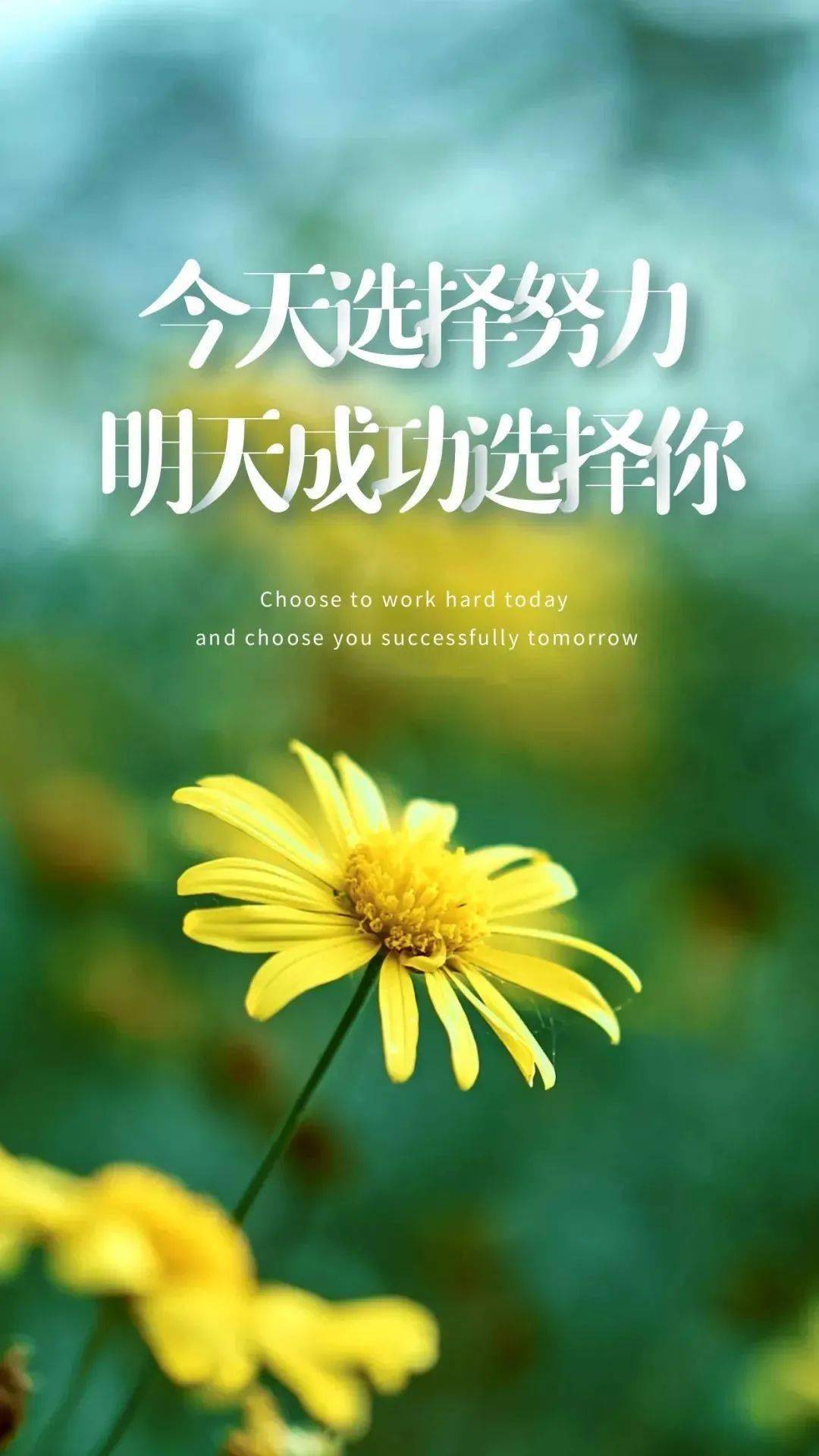 四月初一_初一语文书_初一月考试卷