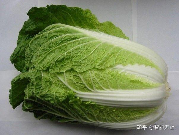 云米是大牌子吗_米云什么牌子_云米是什么牌子