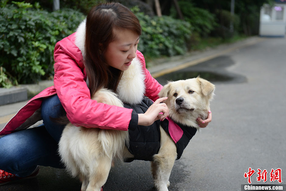 免费观看忠犬八公_忠犬八公在线观看完整_忠犬八公在线观看