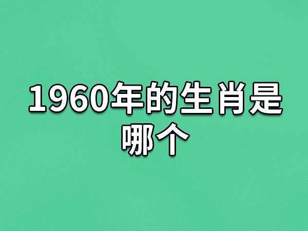 生肖属年表_生肖属年份表_2027年属什么生肖