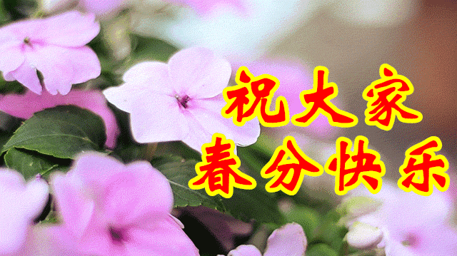 高中作文手机游戏800字_高中作文手机游戏怎么写_手机游戏 高中作文