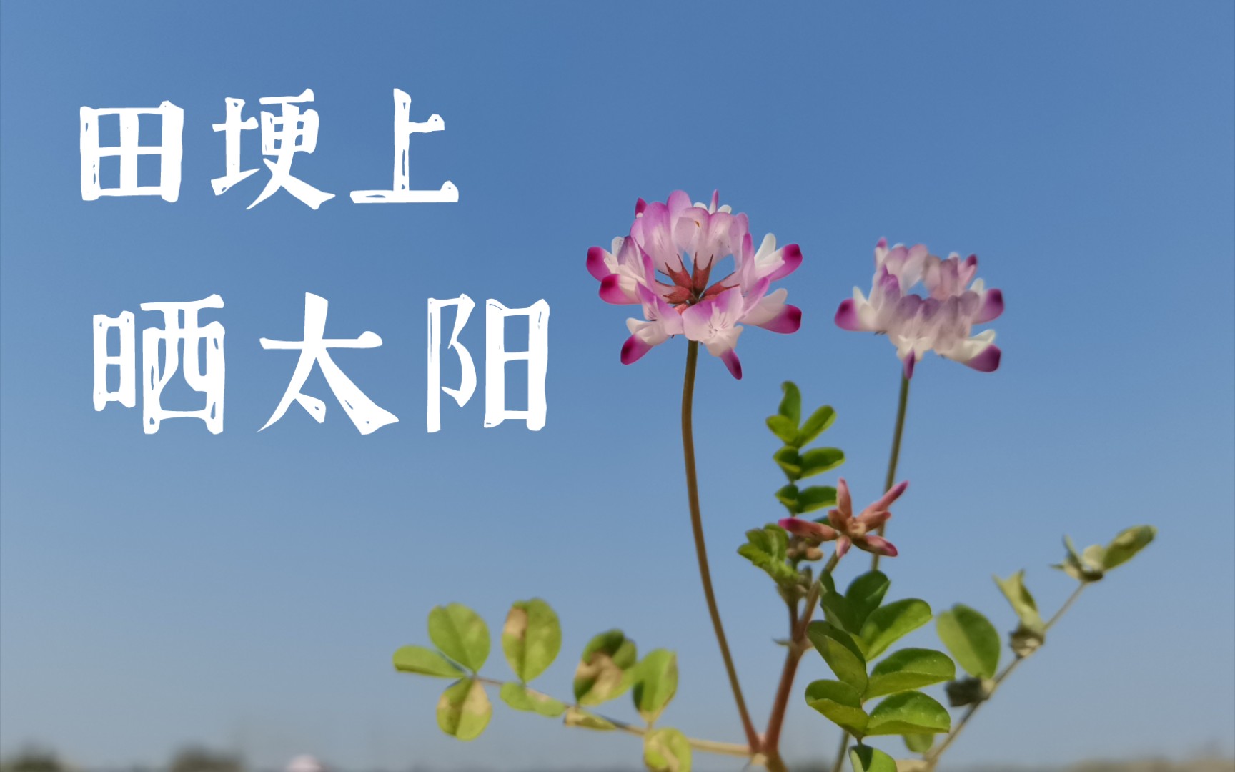 志乃和谁在一起了_志乃_志乃策划