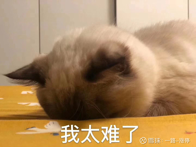 js如何判断是否包含_js判断是否包含_判断是否包含某些字符