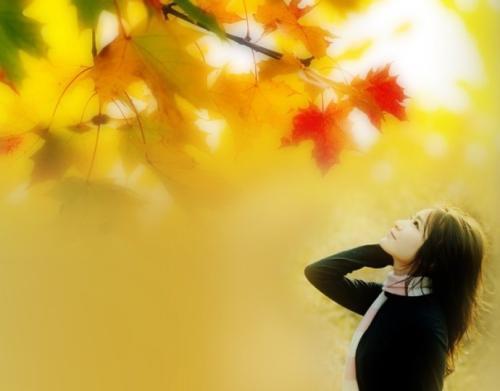 花野真衣下载_野花中药_中野一花