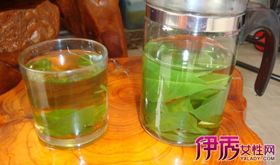狗与剪刀的正确用法-如何避免狗与剪刀的危险接触？这是每个铲屎