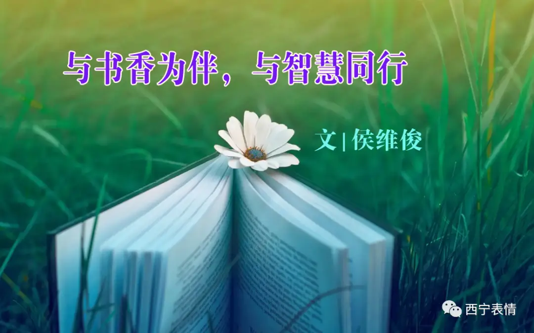 乐文书屋_书屋epub_峰糖书屋吧现实文