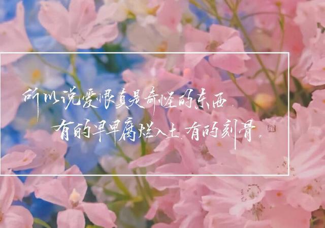 穗穗穗_穗穗果_若宫穗乃