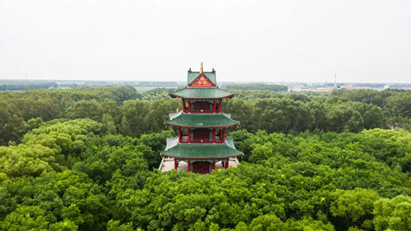 重生世家千金_世家表_六大世家