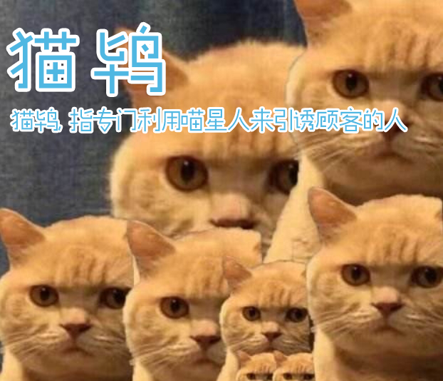吸引猫的游戏_手机吸引猫游戏_吸猫小游戏