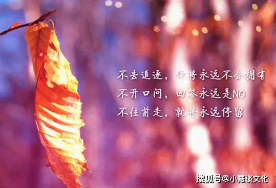 万丈目准喜欢谁_万丈目准_万丈目准解锁