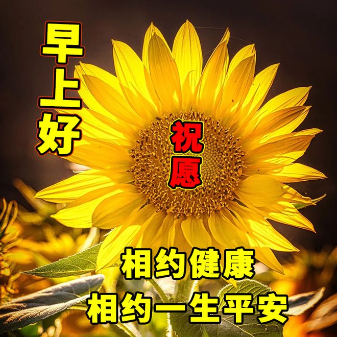 成濑心美樱井步合集_若月佑美樱井玲香cp吧_樱井由美