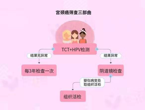 柚子币_柚子币_柚子币