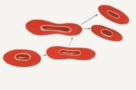 手机玩mite_手机游戏mitosis_手机游戏平台