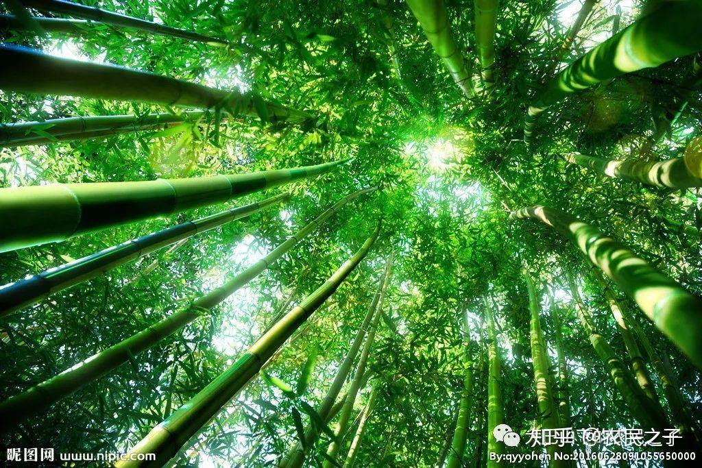 联想y500配置参数_联想y500升级方案_联想y500