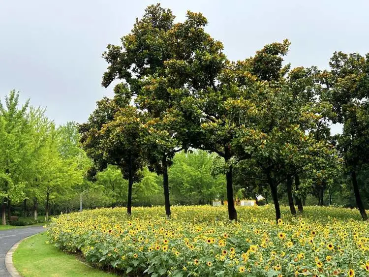 徒手攀岩手机观看_电影观看在线攀岩徒手视频_徒手攀岩电影在线观看