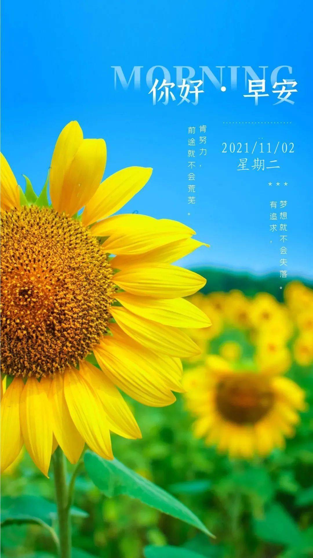 月年2023年_2025年是不是闰月年_2021年11月