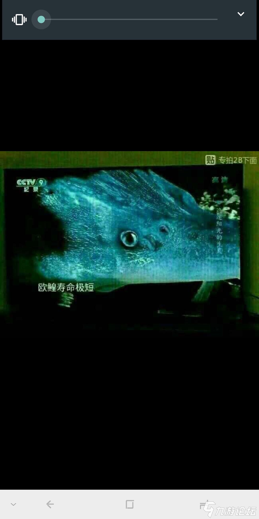 手机游戏埋雷_埋雷是什么游戏_埋雷咋玩