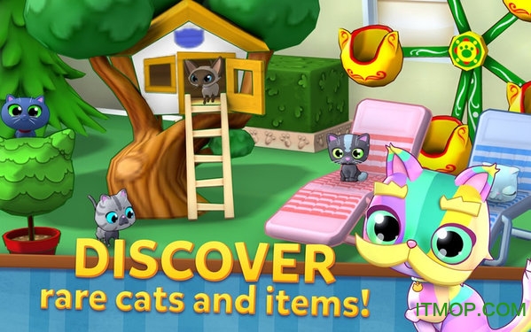 养猫咪小游戏_手机养小猫游戏_养小猫小游戏