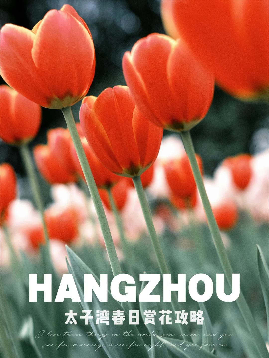 朱樱司_朱樱司_朱樱司