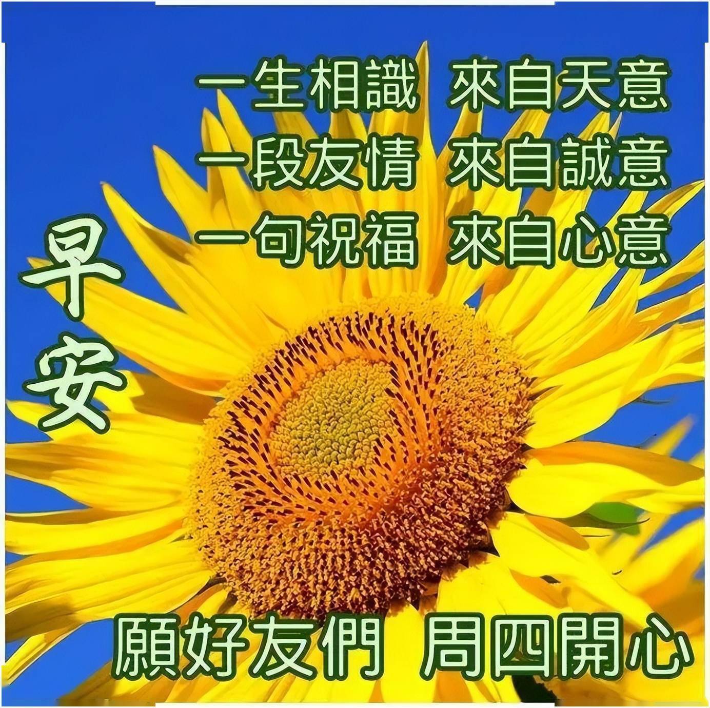 适合冬季玩的游戏_冬天好玩的游戏_手机游戏推荐冬季