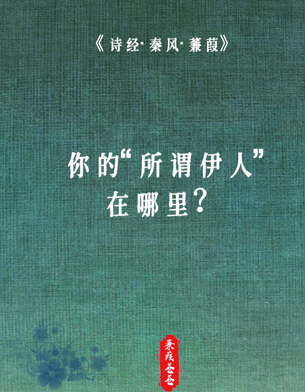 蒹葭秦风原文_蒹葭秦风翻译_秦风蒹葭