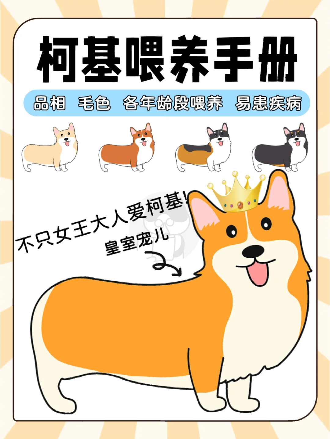 女王柯基动画片_女王的柯基_女王柯基图片