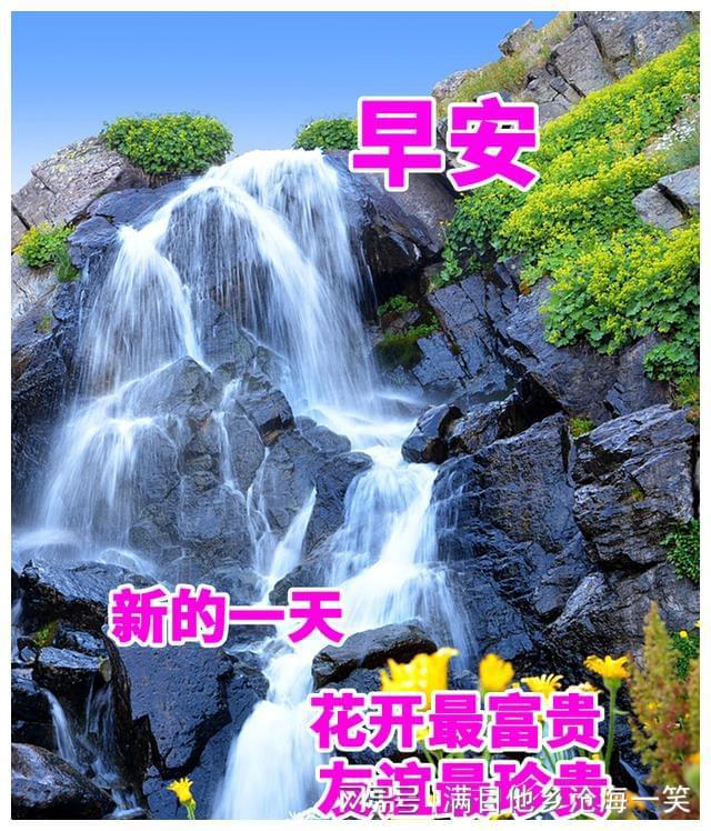 生肖猪的婚姻_属猪人的婚姻与命运_猪人的婚姻