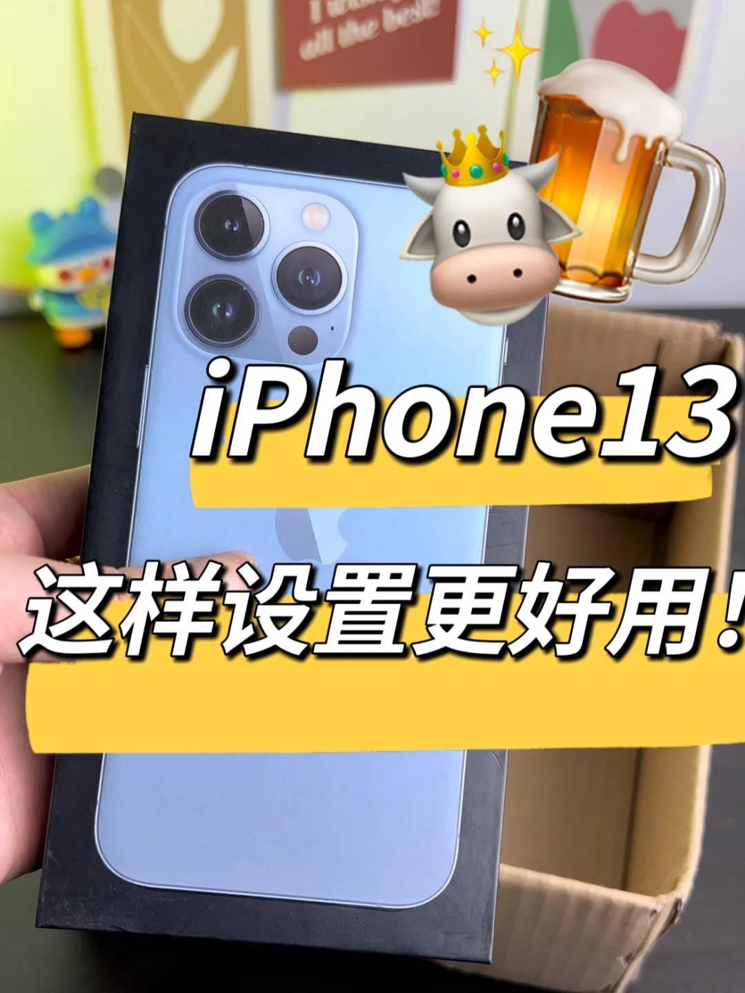 苹果13的国行编号_iphone13国行序列号_苹果13序列号国行