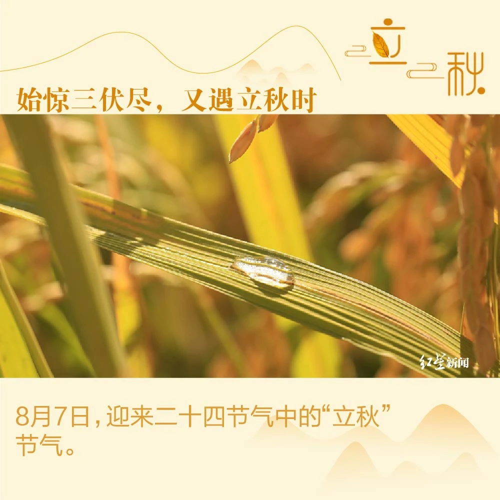 立秋节气的特点_立秋节气的特点和风俗_立秋时节的特点