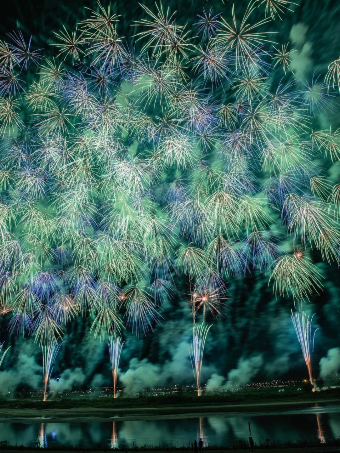 烟花动画片大全免费观看_烟花动画片免费观看_烟花动画片