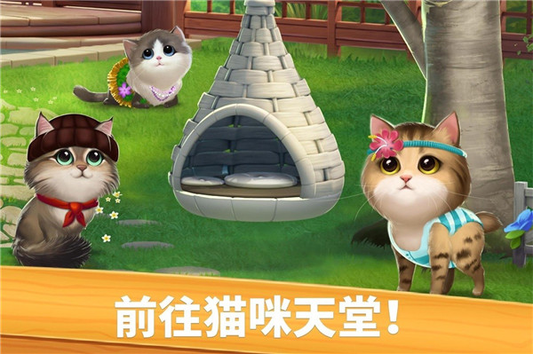 照顾可爱小猫咪游戏_照顾小猫手机游戏_照顾小猫小游戏