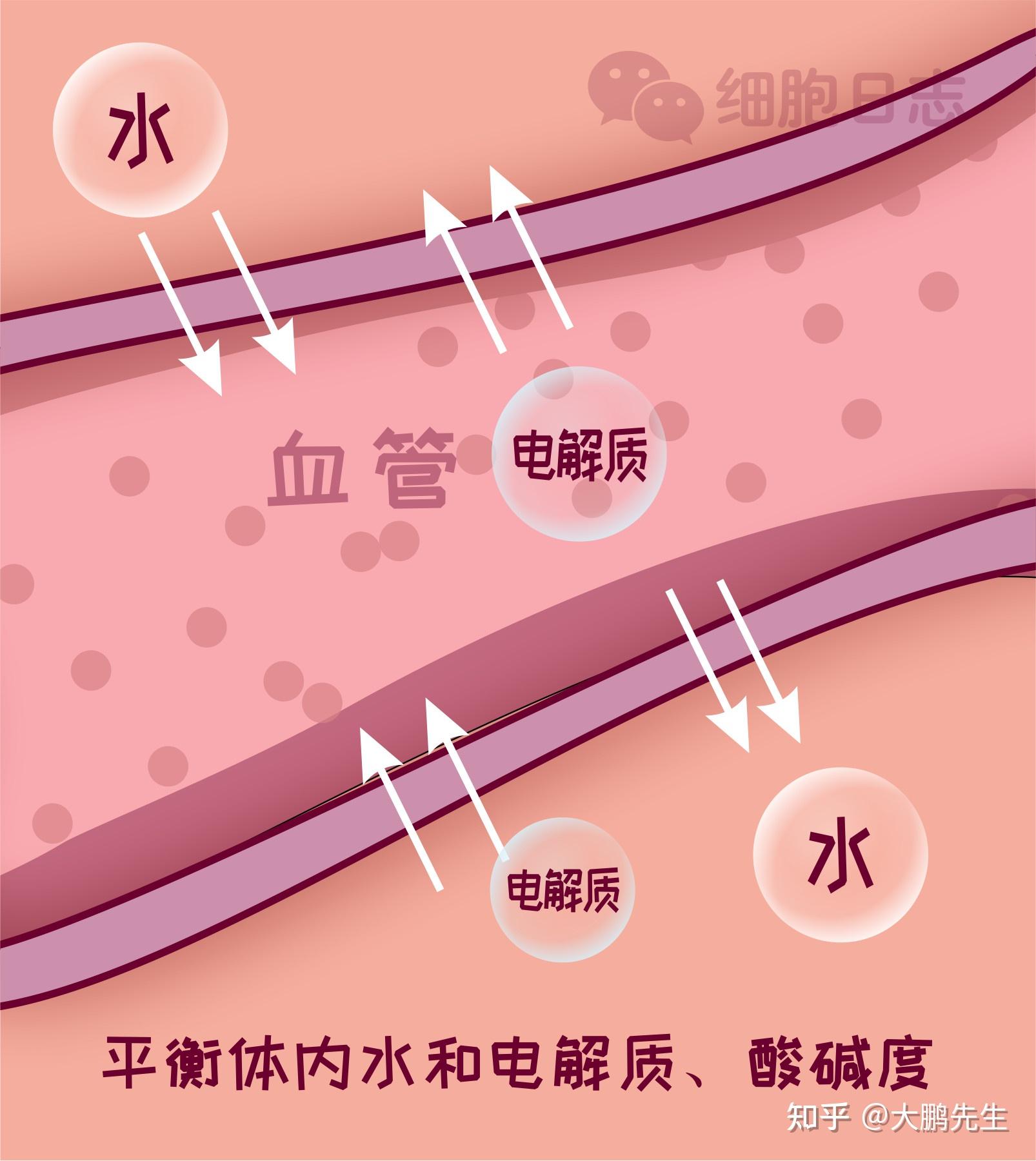 手机游戏细胞重生_重生细胞手游完整版_重生细胞手游最新版本