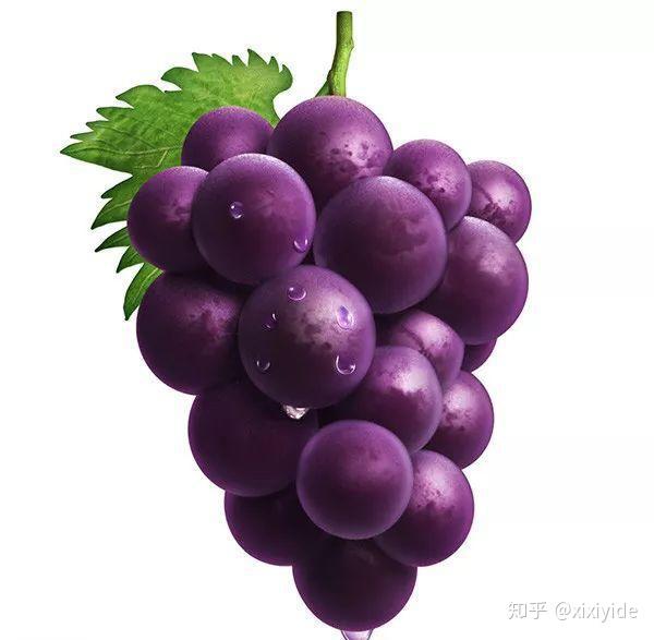 季春时节的花_季春时节_季节春分是什么意思