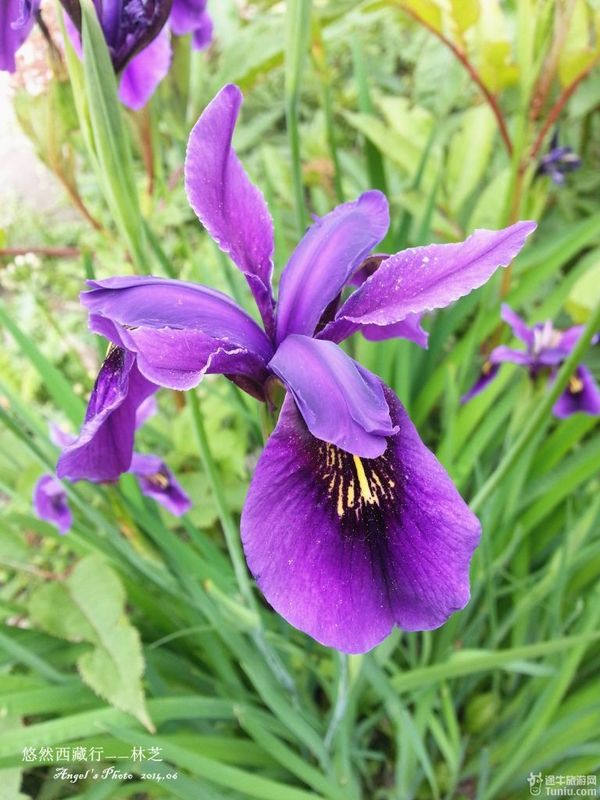 季春时节的花_季春时节_季节春分是什么意思
