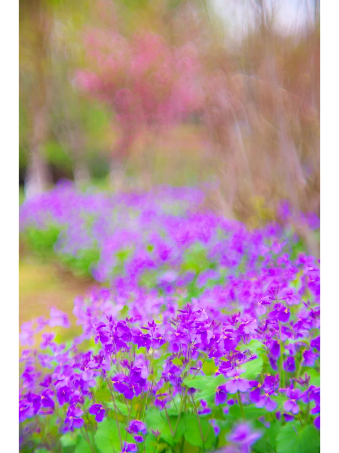 玩法花式擦炮视频教程_玩法花式擦炮视频_擦炮的花式玩法