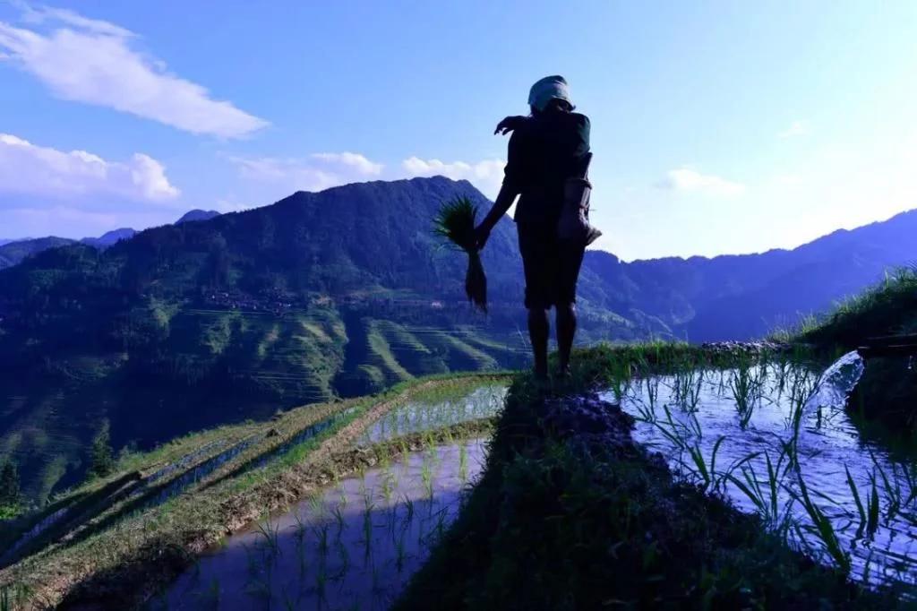 季总别虐了舒小姐已嫁人_季光虹_季菜