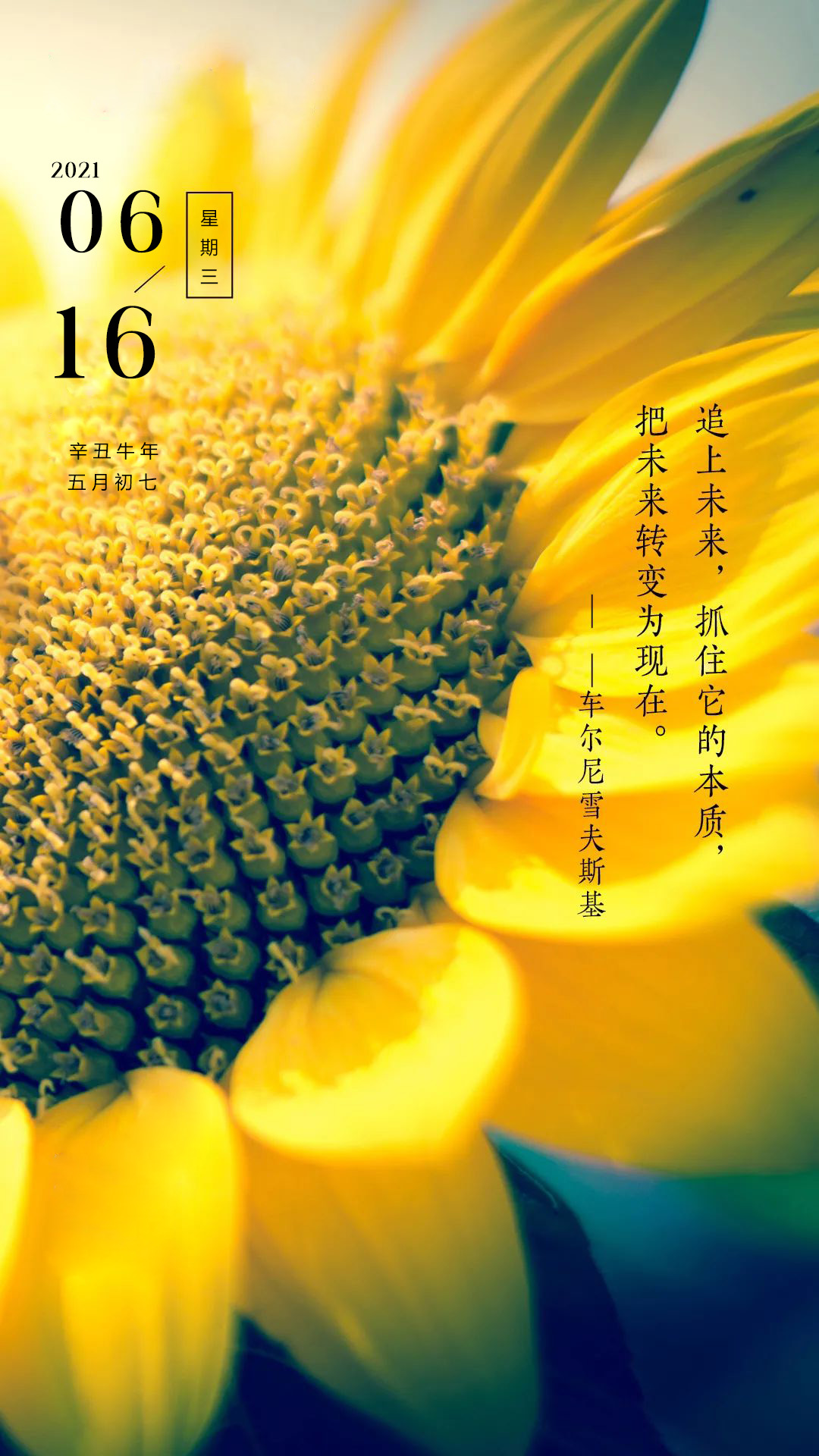 携手朝气向前_携手奔赴未来_承载美好向往携手共赴未来