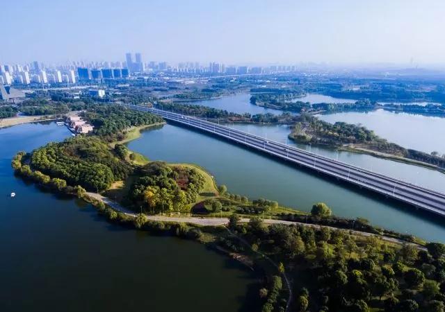 柳花指什么_柳林柳花_柳林县柳花门视频