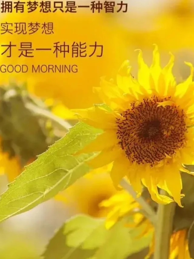 一个巾一个童念什么字_巾加童念_巾童怎么念