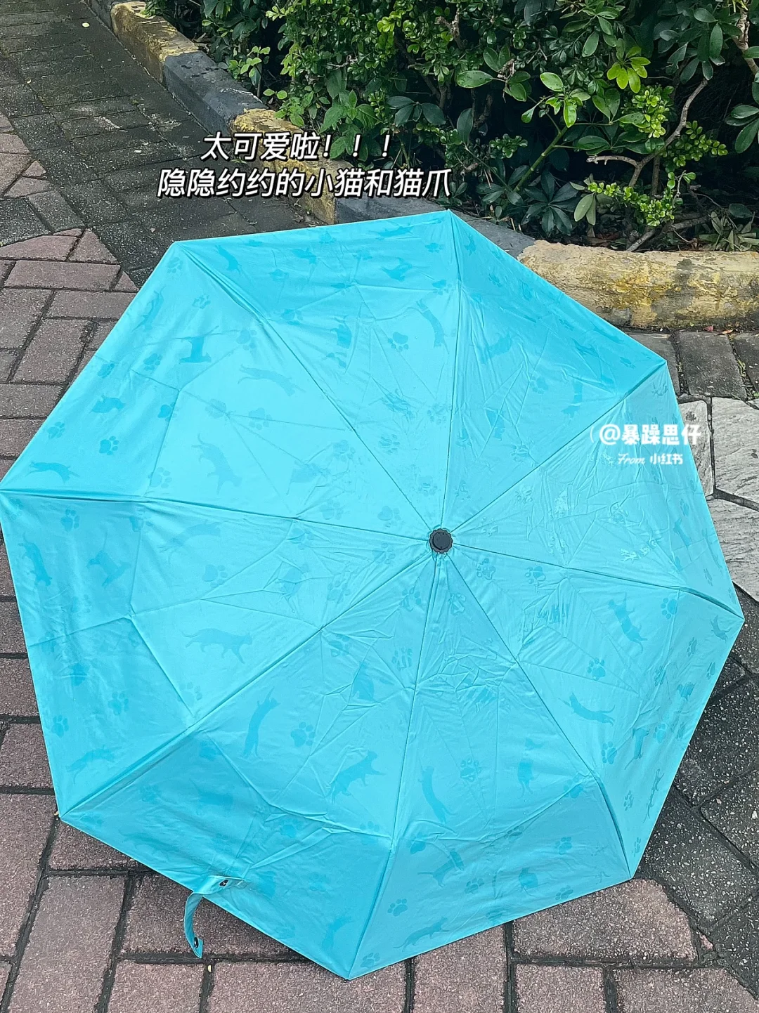 雨伞游戏_雨伞小游戏_手机雨伞游戏推荐