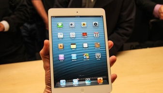 ipad无聊游戏,精选单机游戏推荐