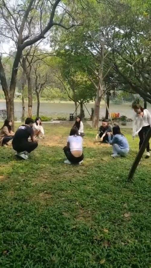 逛园林游戏,探索逛园林游戏的奇幻之旅