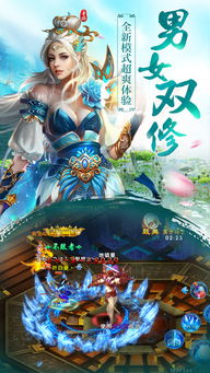 混沌西游(游戏托特权) 